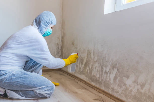 Bathroom Mold Removal assessment in Gowen bathroom